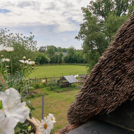 Ferienwohnung Het Grote Paard Havelte Exterior foto