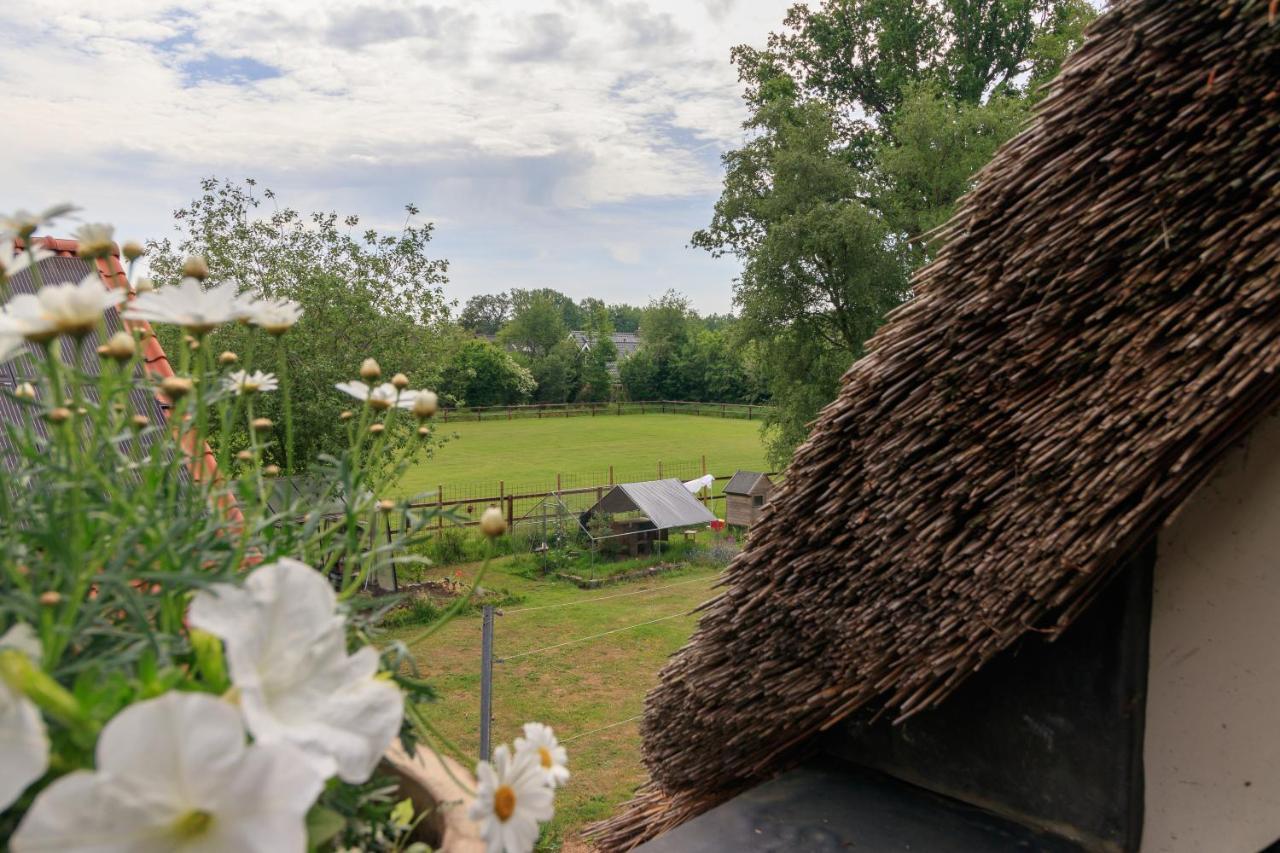 Ferienwohnung Het Grote Paard Havelte Exterior foto